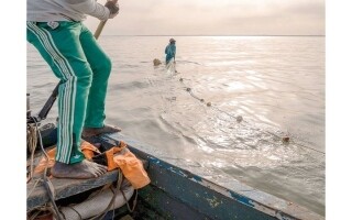 Shutdown of Guinea-Bissau's Only Ice Factory Threatens Fishermen's Livelihoods